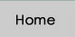 Home button